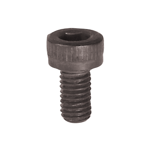 62-303   Cap Screw (H4-60)